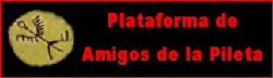 Plataforma de Amigos de la Pileta.
