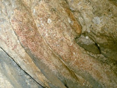 Ver más pinturas rupestres de la Cueva del Moro.